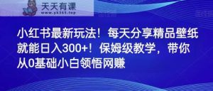 小红书的全新游戏玩法！每天分享精品壁纸就可日赚300 ！家庭保姆级课堂教学，陪你从0理解网络赚钱-天天有课网