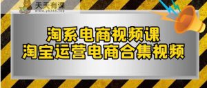 淘宝电商视频课，淘宝店铺运营电子商务合集视频-天天有课网