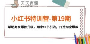 小红书的夏令营-第19期,帮助企业爆品更新,用小红书引流,打造出淘宝爆款-天天有课网