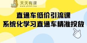 淘宝直通车-低价引流课，系统性学习淘宝直通车精准推送-天天有课网