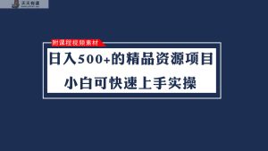日入500 的虚拟福利资源新项目 小白可快速入门实际操作-天天有课网