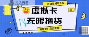 虚拟卡无限撸货，百分百成功下车【仅揭秘】-天天有课网
