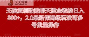 无脑复制粘贴聊天掘金轻松日入800+,2.0最新保姆级玩法可多号批量操作-天天有课网
