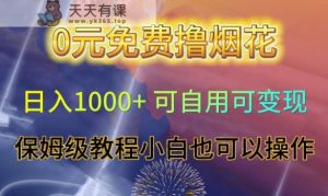 0元免费撸烟花日入1000+可自用可变现保姆级教程小白也可以操作【仅揭秘】-天天有课网