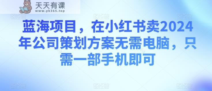 蓝海项目，在小红书卖2024年公司策划方案无需电脑，只需一部手机即可-天天有课网