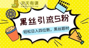 S粉转现，轻轻松松日入四位数，黑色丝袜主题 情绪销售话术【揭密】-天天有课网