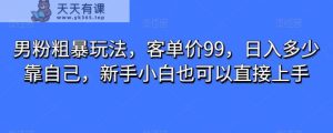 粉丝粗鲁游戏玩法,客单量99,日入是多少依靠自己,新手入门还可以直接上手-天天有课网