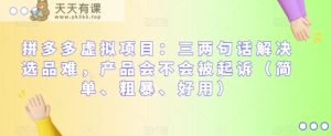 拼多多平台虚拟资源项目：三几句话处理选款难，商品有没有被提起诉讼-天天有课网