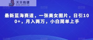 全新瀚海跑道,一张美女照片,日引100 ,月入2万,新手简易入门-天天有课网