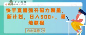 快手强开磁力聚星,新的目标,日入300 ,落地式实例教程-天天有课网