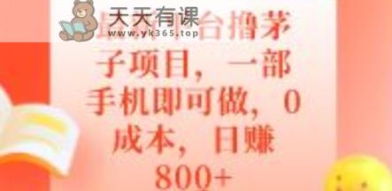 全新服务平台撸茅子新项目，一部手机就可以做，0成本费，日赚800-天天有课网