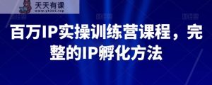 百万IP实操训练营课程,完整的IP孵化方法-天天有课网