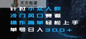 针对小众人群冷门风口赛道，操作简单轻松上手单号日入300+-天天有课网