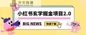 小红书玄学掘金项目，值得常驻的蓝海项目，日入3000+附带引流方法以及渠道【揭秘】-天天有课网