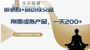 十万个富翁修炼宝典之8.微信群+自动成交站，刚需虚拟产品，一天200+-天天有课网