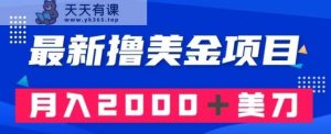 最新撸美金项目：搬运国内小说爽文，只需复制粘贴，月入2000＋美金【揭秘】-天天有课网