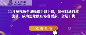11月短视频全案操盘手线下课，如何打通自然流量，成为想象级IP必备要素，全是干货-暖阳网-优质付费教程和创业项目大全-天天有课网
