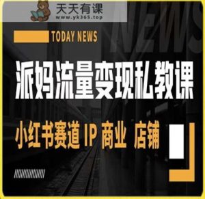 派妈流量变现私教课,小红书赛道IP  商业  店铺 -暖阳网-优质付费教程和创业项目大全-天天有课网