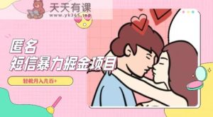 全网首发，揭秘超冷门匿名短信项目，通过信息差日入几百+【揭秘】-暖阳网-优质付费教程和创业项目大全-天天有课网