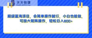 超级蓝海项目，会简单操作就行，小白也能做，可放大矩阵操作，轻松日入800+，-暖阳网-优质付费教程和创业项目大全-天天有课网