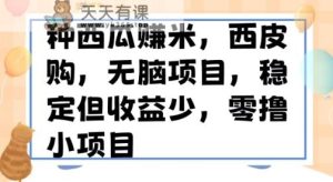 种西瓜赚米，西皮购稳定长久零撸小项目-暖阳网-优质付费教程和创业项目大全-天天有课网