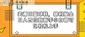 卖莆田篮球鞋,暴利掘金日入四位数新手小白都可以轻松上手【揭秘】-暖阳网-优质付费教程和创业项目大全-天天有课网