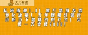 私域流量1.0！靠打造朋友圈转化流量！五年网赚经验告诉你当下最赚钱的方式！实现一天变现2000！-暖阳网-优质付费教程和创业项目大全-天天有课网