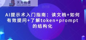 AI提示术入门指南：读文档+如何有效提问+了解token+prompt的结构化【揭秘】-暖阳网-优质付费教程和创业项目大全-天天有课网