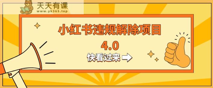 小红书违规掘金蓝海项目，日入800+-暖阳网-优质付费教程和创业项目大全-天天有课网