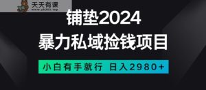 暴力私域捡钱项目,小白无脑操作,日入2980【揭秘】-暖阳网-优质付费教程和创业项目大全-天天有课网