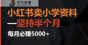 小红书卖小学资料,一坚持半个月,每月必赚5000+-暖阳网-优质付费教程和创业项目大全-天天有课网