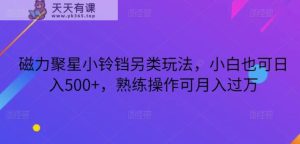 磁力聚星小铃铛另类玩法，小白也可日入500+，熟练操作可月入过万-暖阳网-优质付费教程和创业项目大全-天天有课网