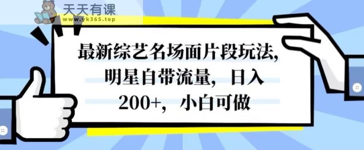 最新综艺名场面片段玩法，明星自带流量，日入200+，小白可做【揭秘】-暖阳网-优质付费教程和创业项目大全-天天有课网