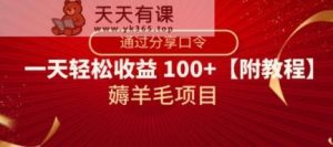 撸羊毛新项目,靠共享动态口令,一天轻轻松松盈利100 【附实例教程】【揭密】-暖阳网-优质付费教程和创业项目大全-天天有课网