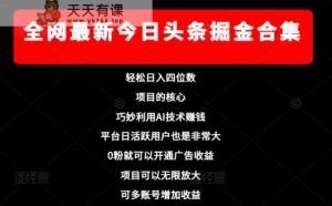 各大网站全新今日今日头条掘金队合辑，轻轻松松日入四位数-暖阳网-优质付费教程和创业项目大全-天天有课网