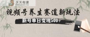 微信视频号健康养生跑道暴力行为掘金队没脑子运送，小号日入500-暖阳网-优质付费教程和创业项目大全-天天有课网