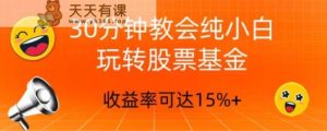 30min教会我们轻松玩股票型基金，只教好一点的挑选方式，不推荐股票-暖阳网-优质付费教程和创业项目大全-天天有课网