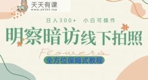 明拍暗拍新项目0成本支出日入300 小白可实际操作跟踪服务多方位实例教程-暖阳网-优质付费教程和创业项目大全-天天有课网