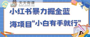 小红书的暴力行为掘金队蓝海项目,轻轻松松日入1000 、新手有手就行-暖阳网-优质付费教程和创业项目大全-天天有课网