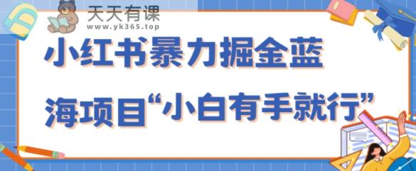 小红书的暴力行为掘金队蓝海项目，轻轻松松日入1000 、新手有手就行-暖阳网-优质付费教程和创业项目大全-天天有课网