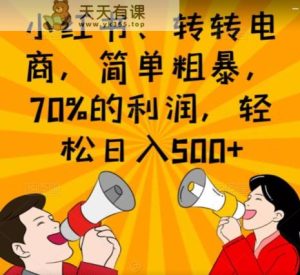 小红书的、走走电子商务，简单直接，70%的收益，轻轻松松日入500-暖阳网-优质付费教程和创业项目大全-天天有课网