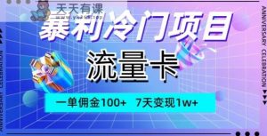 爆利蓝海项目,上网卡,一单提成100 ,7天转现1w-暖阳网-优质付费教程和创业项目大全-天天有课网