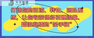 打造出你引流方法、转换、精英团队系统软件,使你收获了很多引爆流量、翻番公司业绩“秘密武器”-暖阳网-优质付费教程和创业项目大全-天天有课网