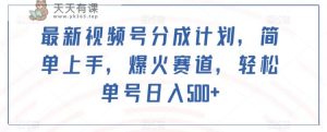新视频号分为方案,简易入门,爆红跑道,轻轻松松运单号日入500-暖阳网-优质付费教程和创业项目大全-天天有课网