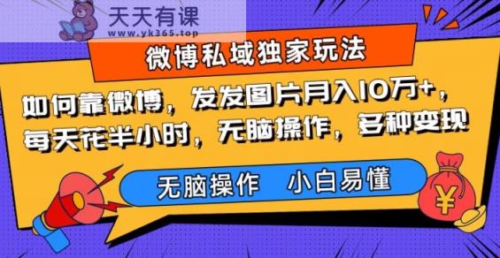 怎样靠新浪微博，发发图月入10万 ，每天花费三十分钟，没脑子实际操作，多种多样转现-暖阳网-优质付费教程和创业项目大全-天天有课网