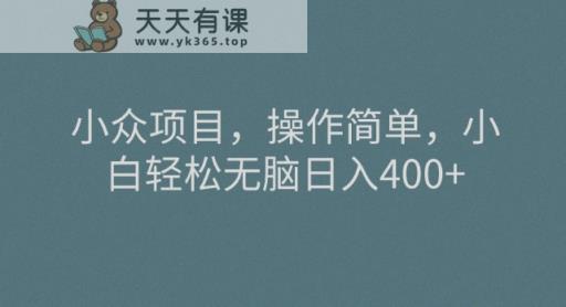 冷门新项目，使用方便，新手轻轻松松没脑子日入400-暖阳网-优质付费教程和创业项目大全-天天有课网