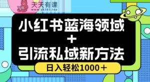 小红书的瀚海虚似＋引流方法公域新的方法，100%不限流，日入轻轻松松1000＋，新手没脑子实际操作【揭密】-暖阳网-优质付费教程和创业项目大全-天天有课网