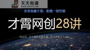 才霄网创28讲第22讲:名字测评没脑子直播间,1人单机版日入300-暖阳网-优质付费教程和创业项目大全-天天有课网