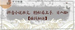 抖音小说推文，轻松易上手，日入300+【赚钱秘诀】-暖阳网-优质付费教程和创业项目大全-天天有课网