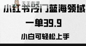 小红书的小众蓝海领域，一单39.9，小白可快速上手-暖阳网-优质付费教程和创业项目大全-天天有课网